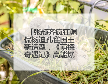 张颜齐疯狂调侃杨迪孔雀国王新造型，《萌探奇遇记》高能爆笑再度出圈！