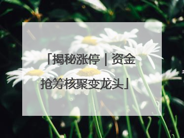 揭秘涨停｜资金抢筹核聚变龙头