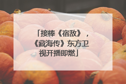 接棒《宿敌》，《藏海传》东方卫视开播即燃