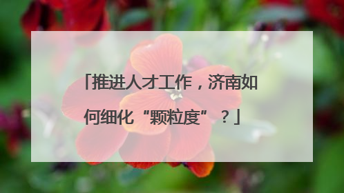 推进人才工作，济南如何细化“颗粒度”？