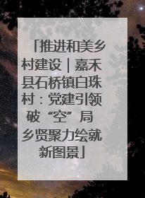 推进和美乡村建设｜嘉禾县石桥镇白珠村：党建引领破“空”局 乡贤聚力绘就新图景