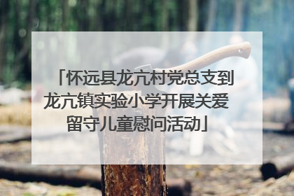 怀远县龙亢村党总支到龙亢镇实验小学开展关爱留守儿童慰问活动