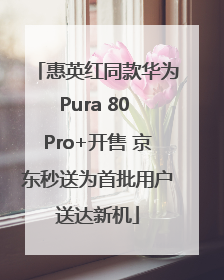 惠英红同款华为Pura 80 Pro+开售 京东秒送为首批用户送达新机