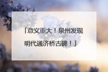 意义重大！泉州发现明代通济桥古碑！