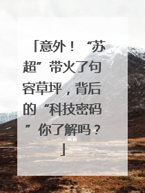 意外！“苏超”带火了句容草坪，背后的“科技密码”你了解吗？