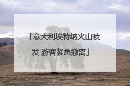 意大利埃特纳火山喷发 游客紧急撤离