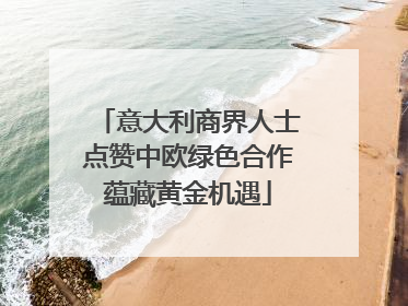 意大利商界人士点赞中欧绿色合作蕴藏黄金机遇