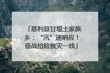 慈利县甘堰土家族乡：“汛”速响应！奋战抢险救灾一线