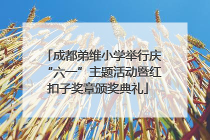 成都弟维小学举行庆“六一”主题活动暨红扣子奖章颁奖典礼