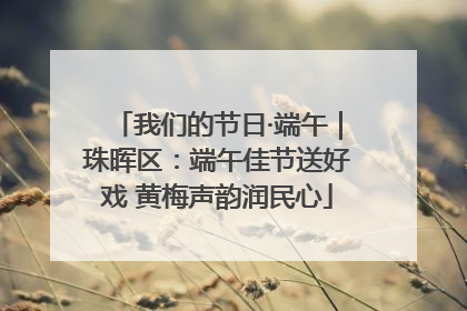 我们的节日·端午｜珠晖区：端午佳节送好戏 黄梅声韵润民心