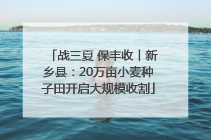 战三夏 保丰收丨新乡县：20万亩小麦种子田开启大规模收割