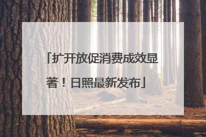 扩开放促消费成效显著！日照最新发布