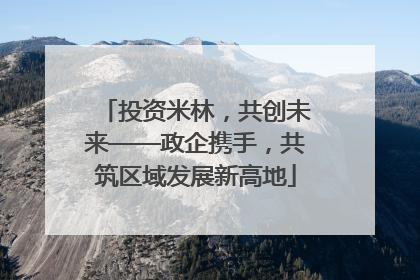 投资米林，共创未来——政企携手，共筑区域发展新高地