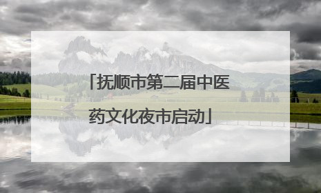 抚顺市第二届中医药文化夜市启动