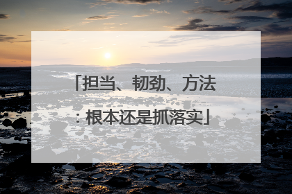 担当、韧劲、方法：根本还是抓落实