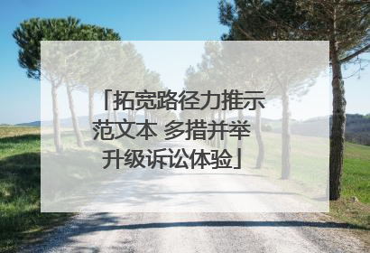 拓宽路径力推示范文本 多措并举升级诉讼体验