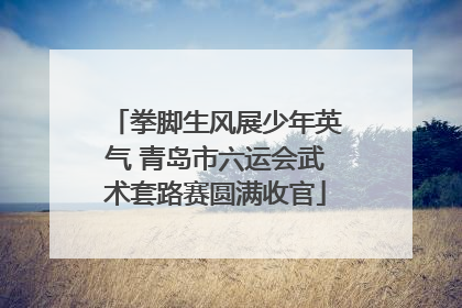 拳脚生风展少年英气 青岛市六运会武术套路赛圆满收官