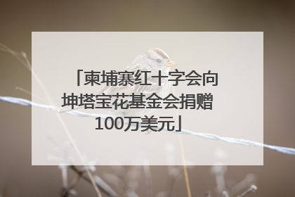 柬埔寨红十字会向坤塔宝花基金会捐赠100万美元