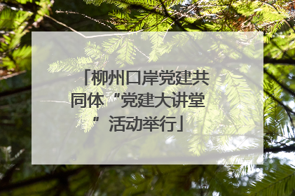 柳州口岸党建共同体“党建大讲堂”活动举行