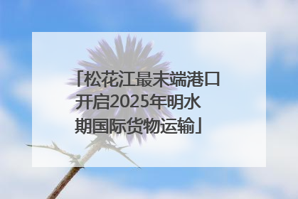 松花江最末端港口开启2025年明水期国际货物运输