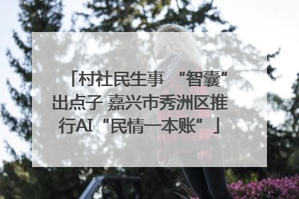 村社民生事 “智囊”出点子 嘉兴市秀洲区推行AI“民情一本账”