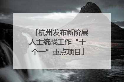 杭州发布新阶层人士统战工作“十个一”重点项目