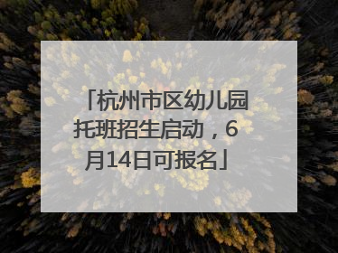 杭州市区幼儿园托班招生启动，6月14日可报名