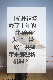 杭州这场办了十年的“相亲会” 为“一带一路”共建带来哪些新机遇？
