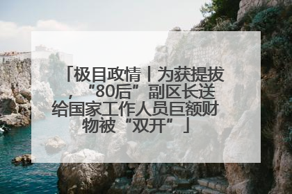 极目政情丨为获提拔，“80后”副区长送给国家工作人员巨额财物被“双开”