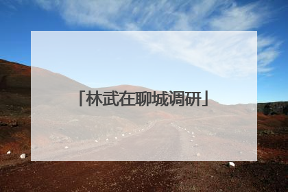 林武在聊城调研