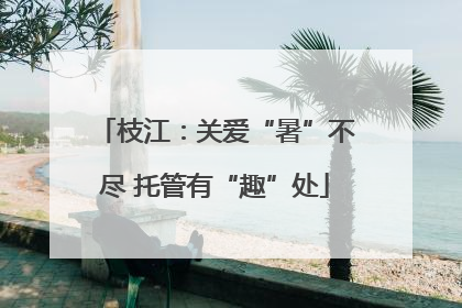 枝江：关爱“暑”不尽 托管有“趣”处