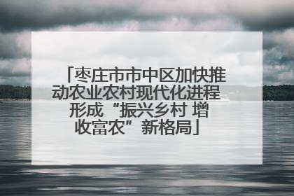 枣庄市市中区加快推动农业农村现代化进程 形成“振兴乡村 增收富农”新格局