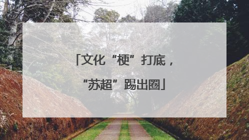 文化“梗”打底，“苏超”踢出圈