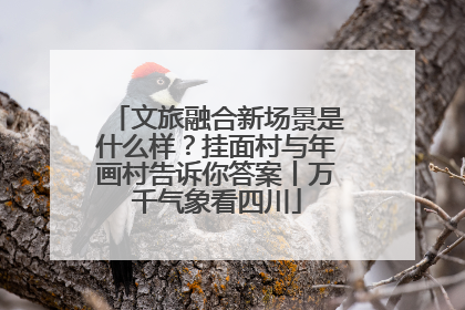 文旅融合新场景是什么样？挂面村与年画村告诉你答案丨万千气象看四川