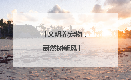 文明养宠物，蔚然树新风