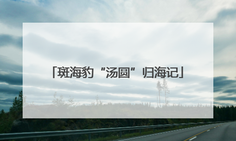 斑海豹“汤圆”归海记
