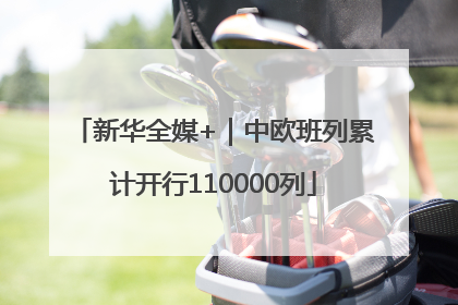 新华全媒+｜中欧班列累计开行110000列