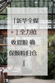 新华全媒+｜全力抢收夏粮 确保颗粒归仓