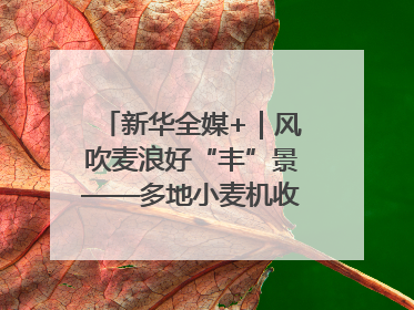 新华全媒+｜风吹麦浪好“丰”景——多地小麦机收一线见闻
