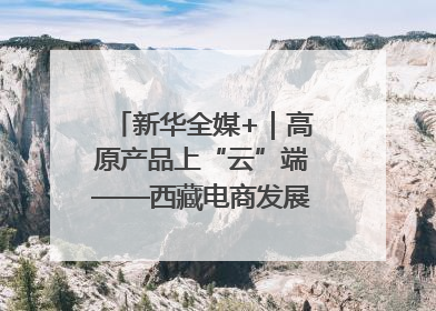 新华全媒+｜高原产品上“云”端——西藏电商发展一线观察