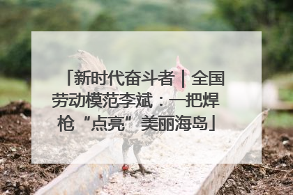 新时代奋斗者｜全国劳动模范李斌：一把焊枪“点亮”美丽海岛