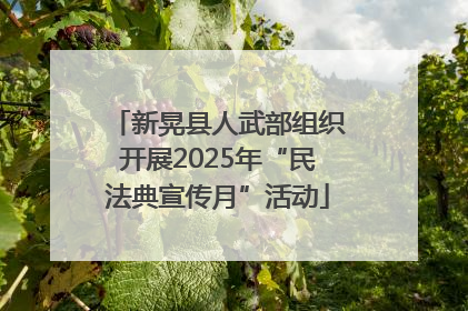 新晃县人武部组织开展2025年“民法典宣传月”活动