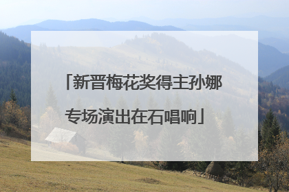 新晋梅花奖得主孙娜专场演出在石唱响