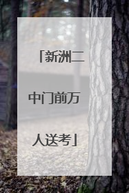 新洲二中门前万人送考