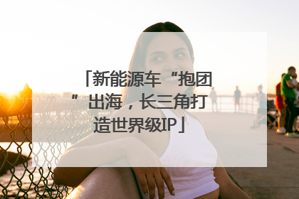 新能源车“抱团”出海，长三角打造世界级IP