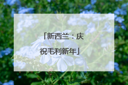 新西兰：庆祝毛利新年