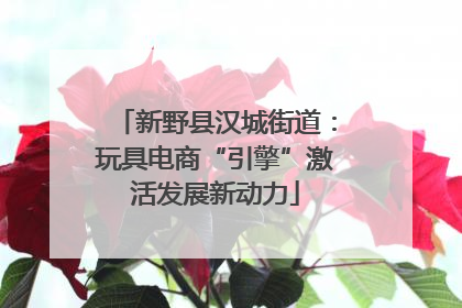 新野县汉城街道：玩具电商“引擎”激活发展新动力
