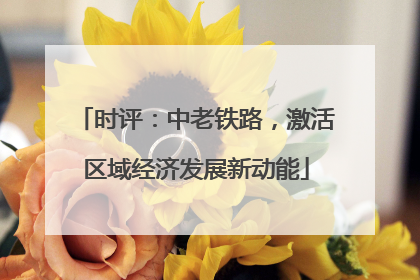 时评：中老铁路，激活区域经济发展新动能
