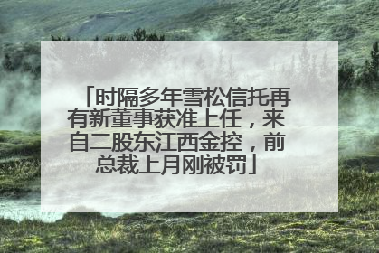 时隔多年雪松信托再有新董事获准上任，来自二股东江西金控，前总裁上月刚被罚