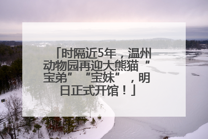 时隔近5年，温州动物园再迎大熊猫“宝弟”“宝妹”，明日正式开馆！